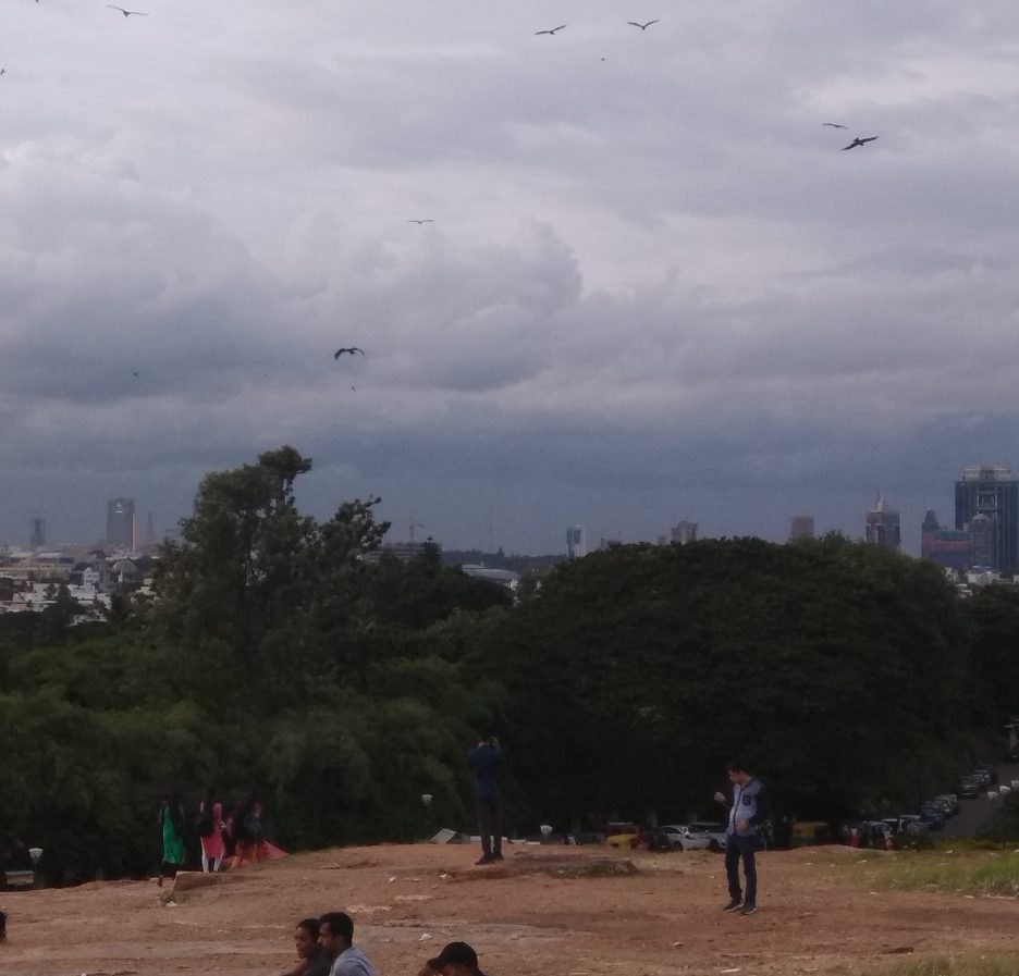 Bengaluru skyline